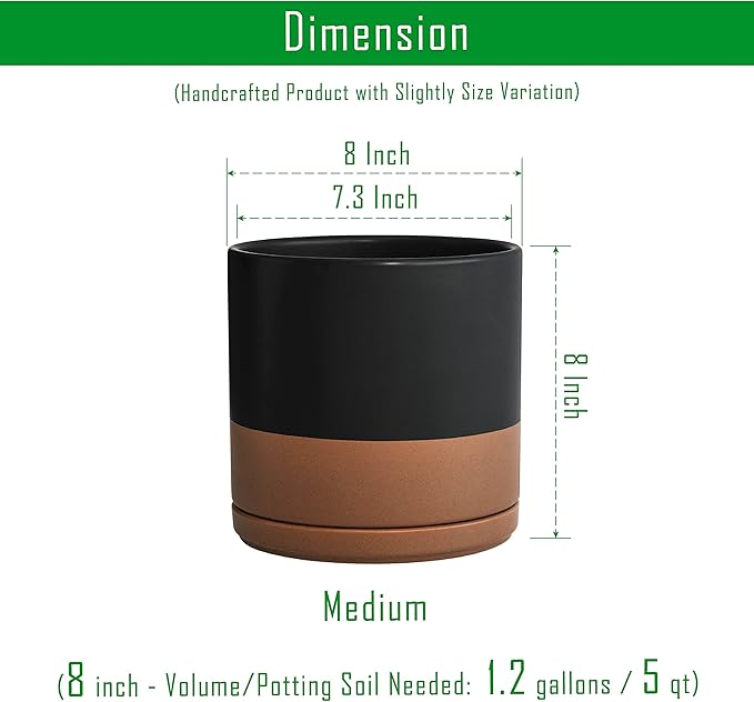 D'vine Dev Set of 2 Plants Pots, 8 Inch Ceramic Planter Pot for Plants with Drainage Hole and Saucer, Black/Speckled Tan, 94-V-D-7