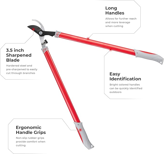 INTERTOOL Bypass Loppers, 29", Tree Branch Cutter, Trimmer, Manual Pruner, Gardening, Landscaping, Long Ergonomic Handles FT-1107