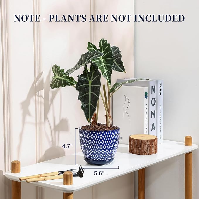 Selamica Ceramic Plant Pots, 5.6 Inch Flower Pots for Indoor Plants, Planters with Drainage Hole and Saucer, Garden Pots for Succulent, Orchid, Home Decor, Set of 4, Vintage Blue