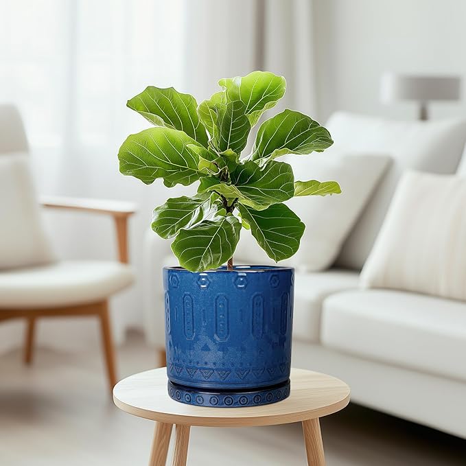 Ceramic Planter - 8 Inch Plant Pot Indoor with Drainage Holes and Saucer Round Planter Outdoor Mid-Century Modern Flower Pot Succulent Pot for Home Decor Blue