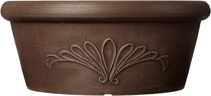 Arcadia Garden Products PSW Pot TA25C Collection Shallow Bulb Pan Planter Dish Low Bowl for Succulents, Bonsai, Fairy Gardens, Herbs, 10-inch, Chocolate