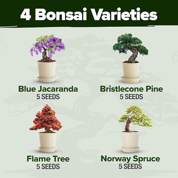 HOME GROWN Bonsai Tree Kit, Grow Your Own: Premium 4 Bonsai Trees Starter Kit | Unique Japanese Gardening Gift for Moms, Women, Men, Beginners & Gardeners | Creative Crafts for Adults BK1-2nd-MF