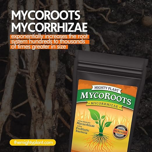 Organic MycoRoots Ultra-Concentrated Mycorrhizal Fungi Root Enhancer – 500 Spores/Gram for Optimal Plant Growth & Health | Boost Soil Nutrient Absorption (5, Ounces)
