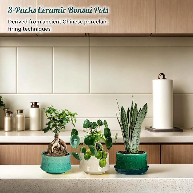 FFPOPU 3-Packs Ceramic Bonsai Pots with Drainage Tray, 6-inch Cute Bonsai Tree Pot with Ice Cracked Glaze, Small Bonsai Planter Pot for Desktop Decoration