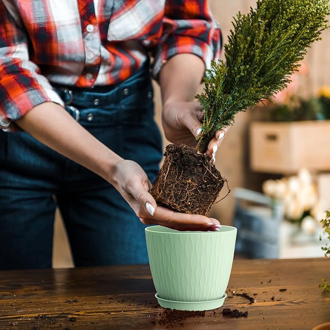 6 inch Plant pots, 12 Pack Modern Plastic Planters with Drainage Holes and Saucers for Repotting Indoor Plants and Flowers, Colorful