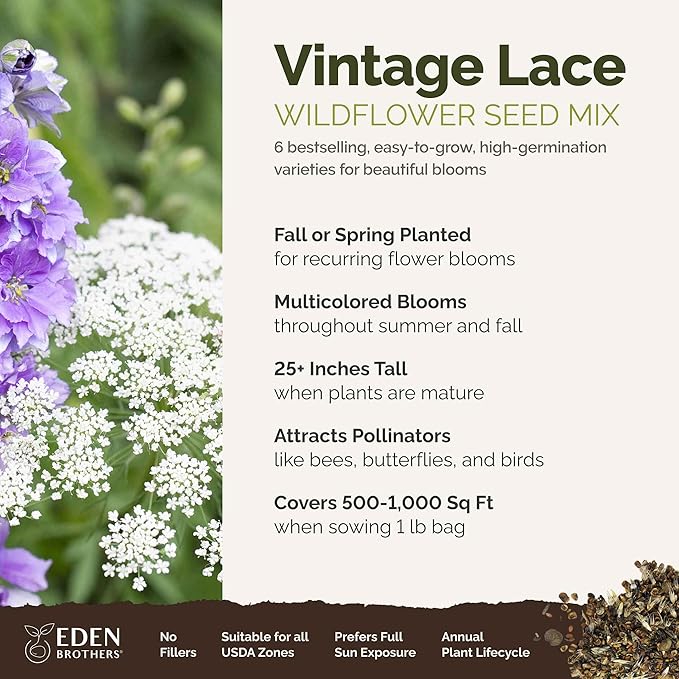 Eden Brothers Vintage Lace Flower Mixed Seeds for Planting, 1 lb, 480,000+ Seeds with Cosmos Gloria, Bishop's Flower, Snapdragon | Attracts Pollinators, Plant in Spring, Zones 3, 4, 5, 6, 7, 8, 9, 10