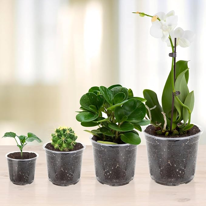 36 Pack 7/6/5/3.5 Inch Clear Nursery Pots Variety Pack, Clear Plastic Nursery Pot for Plants, Durable Seed Starting Pot with Drainage Holes, Flexible Transparent Pot