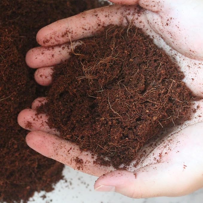 10 Quart Loose Coco Coir Potting Soil for Planting, Coconut Coir with Low EC and pH Balance for Gardening Plants, Flowers Herbs, Vegetables, Terrariums and Reptile Tanks