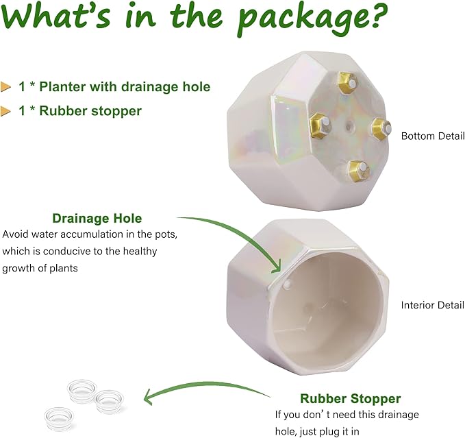 6 Inch Ceramic Planter for Indoor Plants - Plant Pots with Drainage Hole - Modern Minimalist Flower Pot for Succulents and Herbs