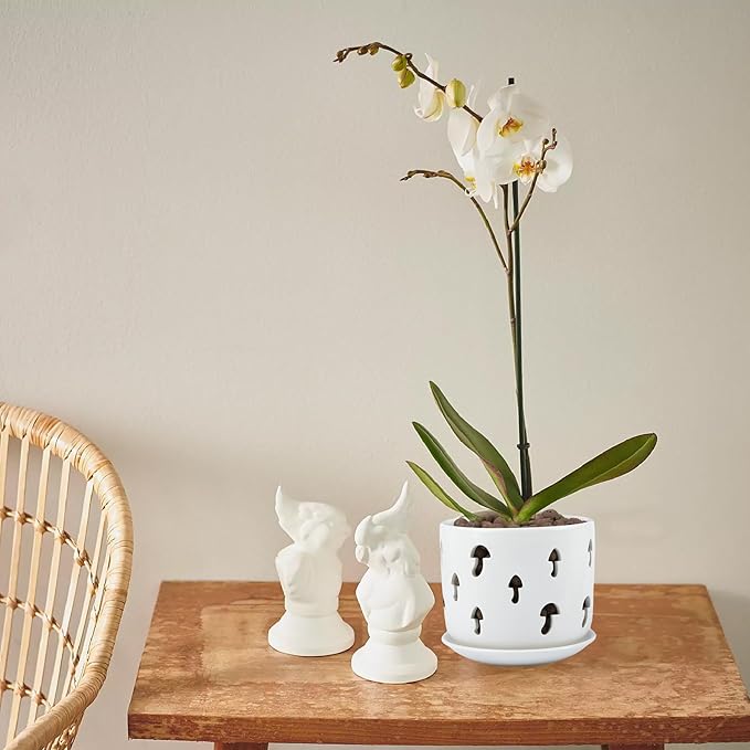 Ceramic Orchid Pot, 5 inch+6 inch Orchid Pots with Holes, Mushroom Shape Orchid Planter with Drainage and Saucer, Effectively Prevent The Root Rot of Orchids, White Flower Pot