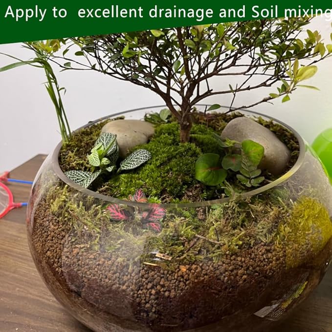 Gardening Akadama Soil - Cactus, Bonsai, Succulent Soil Additives Landscaping Vase Fillings (3/8 inch, 2 QT)