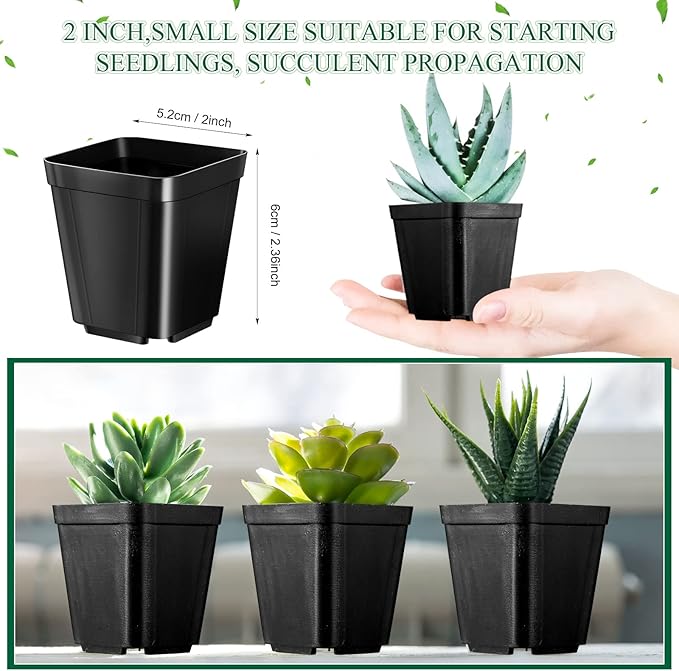500 Pack 2 Inch Plastic Seedling Pots Small Square Nursery Planters Flower Planting Pots Plastic Plant Planters for Outdoor Indoor Flower, Succulent, Starting Seedlings, Black