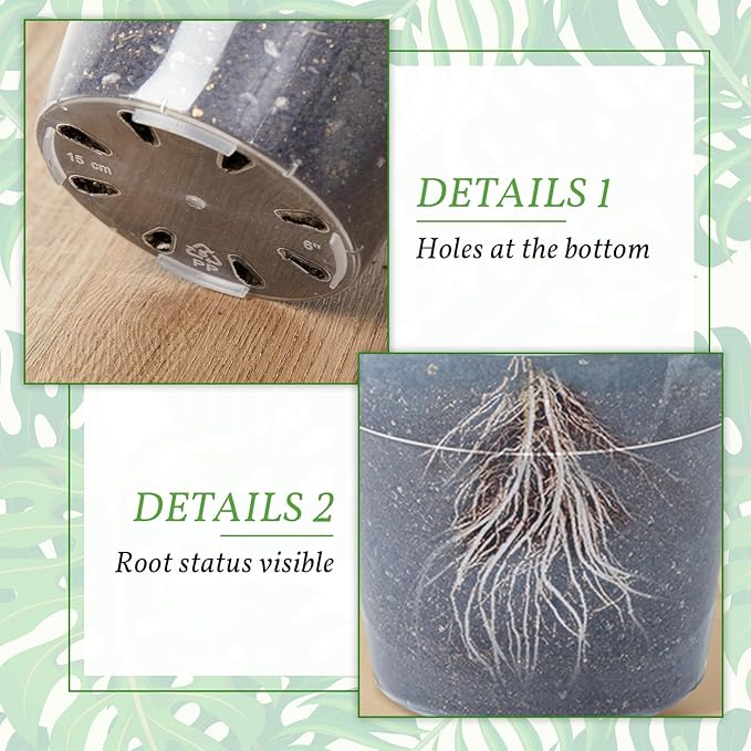 Vesici Large Size Clear Nursery Pots Variety Pack Plant Pots with Drainage Holes Planters for Indoor Plants Flexible Transparent Plastic Plant Bottle Succulents(12 Pcs,6/8/10 Inch)