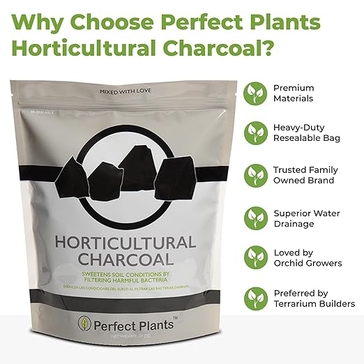 Horticultural Charcoal by Perfect Plants -4qts of Plant Charcoal - Naturally Cleanses, Flushes Toxins and Excess Moisture from Containers and Terrariums