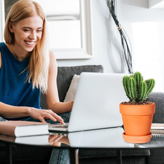 3 Inch Terracotta Pots with Saucer-20 Pack Succulent Cactus Plant Pots with Drainage Hole, Great for Plants Garden Windowsill Indoor & Outdoor Wedding Favors Gifts