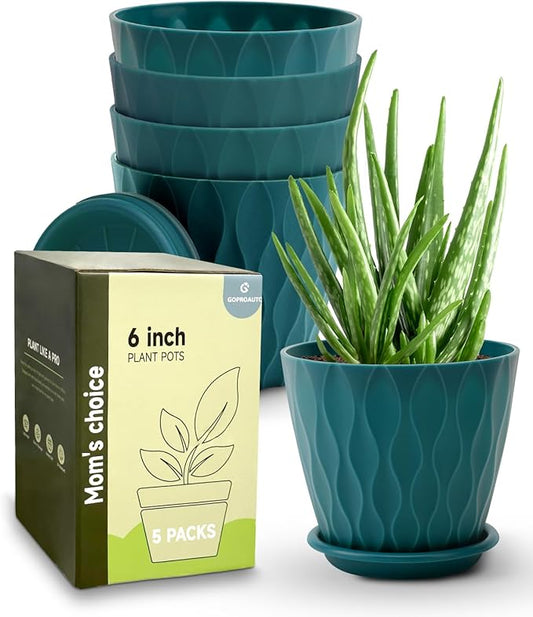 6 Inch Indoor Planter Pots with Drainage Hole and Tray Saucer,Flower Pots for Indoor Outdoor Garden Plants and Flowers, Multicolor, 5 Packs (Blue)