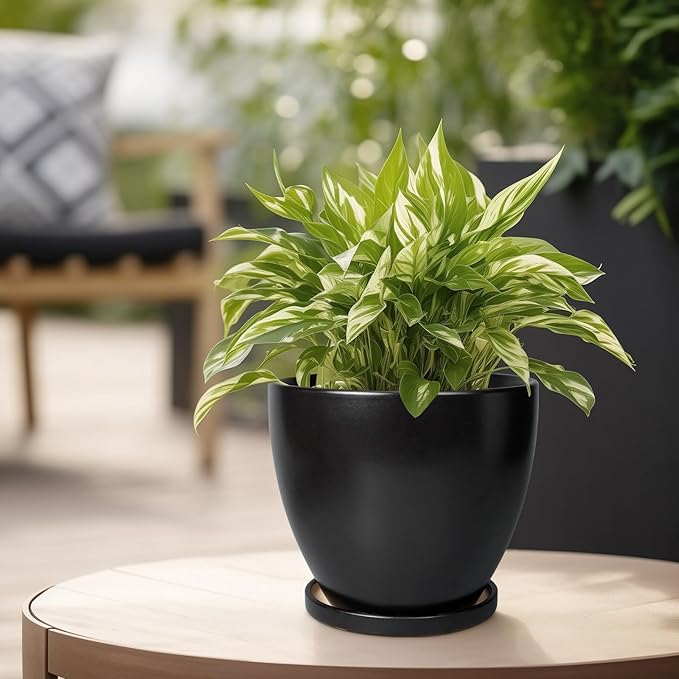 Ceramic Pots for Plants - 6 Inch Plant Pot with Drainage Hole and Saucer, Succulent Round Flower Planters for Indoor, Home Decor, Black