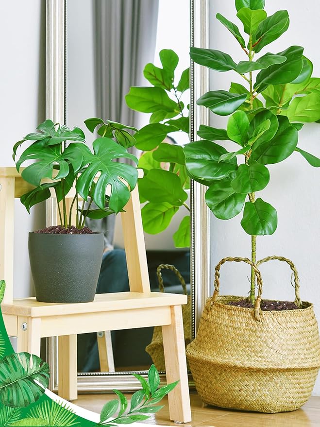 4 Quarts Monstera Soil Potting Mix - Natural Organic Tropical Plant Soil for Improving Growth Rate, Sustainable Houseplants Growing Media for Indoor Bonsai Succulents Moisture Retention Drainage