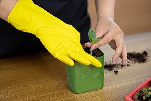 Organic Worm Castings – Earthworm Castings for Plants – Premium Worm Castings Fertilizer for Nutrient-Rich Soil and Healthy Growth (1 Quart)