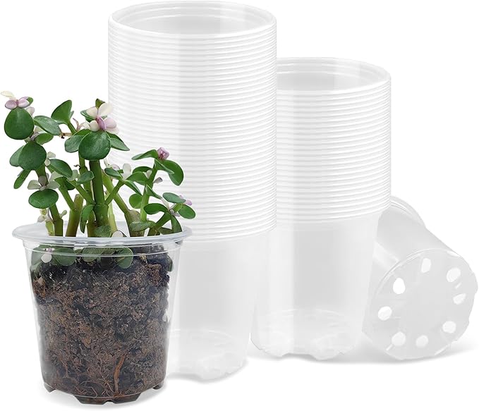 3.5" Clear Seeding Pots 100-Pack Round for Seeds Starter Pots, Seeds Germination Transparent Nursery Pots with Drainage Holes (100PCS)