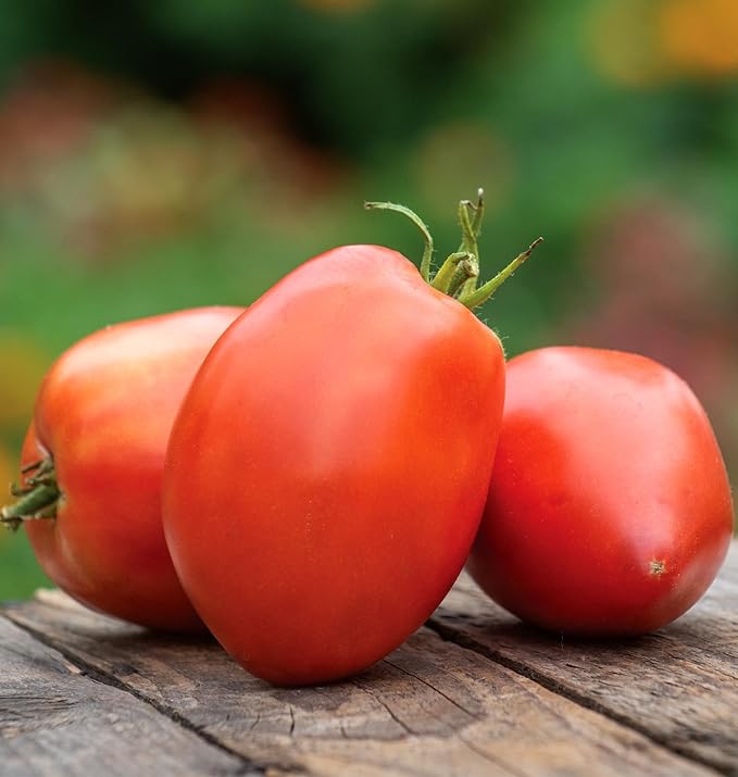 Burpee 'Amish Paste', Tomato Seeds, 25 Non-GMO seeds