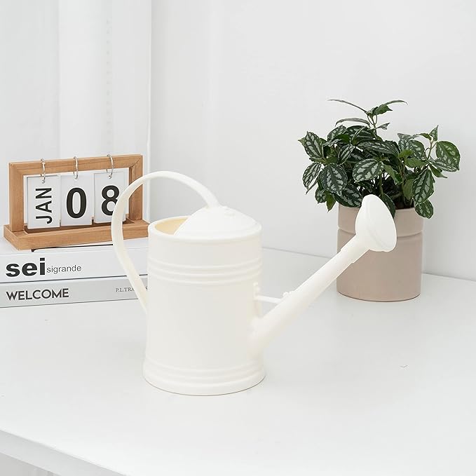 Watering Can for Indoor Plants, Flower Watering Can, Plastic Water Can for Plants, Indoor Watering Can with Sprinkler Head 68 oz, 1/2 Gallons