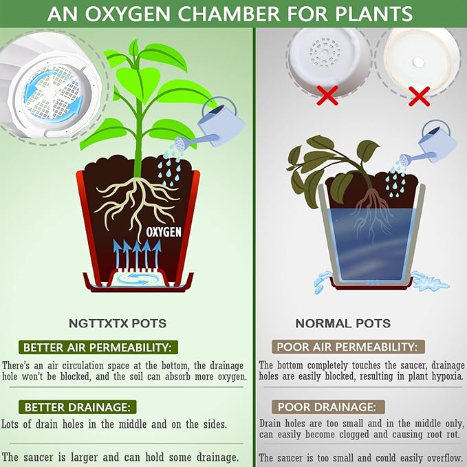 8 Inch Plant Pots with Drainage Holes and Saucers - Flower Pots for Indoor Plants - White Plastic Planters for Outdoor Plants - House Planting Pots Set