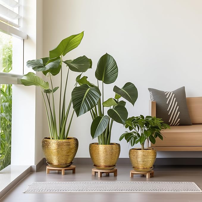 Flower Pots for Indoor Plants- Ceramic Pots for Plants 10 Inch 8 Inch 6 Inch Plant Pots with Drainage Holes and Saucers Decorative Large Planters for Outdoor Plants Set of 3 Gold