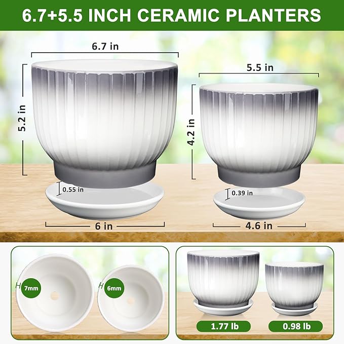 6.7 + 5.5 Inch Plant Pot, Ceramic Planter with Drainage and Saucer, Ceramic Pots for Plants, Indoor Plant pots,Ceramic Flower pots（Gray + White, Plants NOT Included）