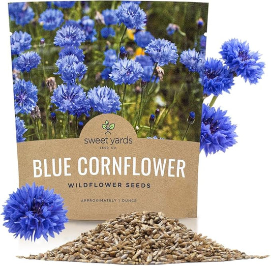 Blue Cornflower Seeds – Bachelor Buttons – Extra Large Packet – Over 5,000 Open Pollinated Non-GMO Wildflower Seeds – Centaurea cyanus