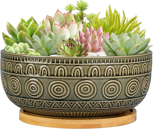 8 Inch Ceramic Succulent Planter Pot with Drainage Hole and Saucer Round Shallow Planter for Indoor Plants, Gray-Green