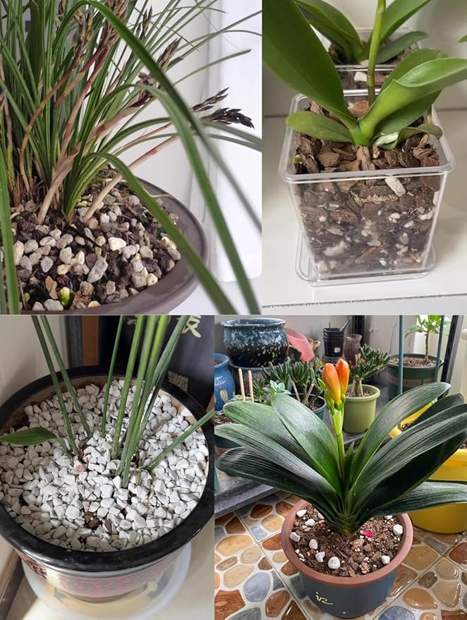 20QT Organic Perlite Horticultural Soil Amendment for Plants and Enhanced Drainage Enhanced