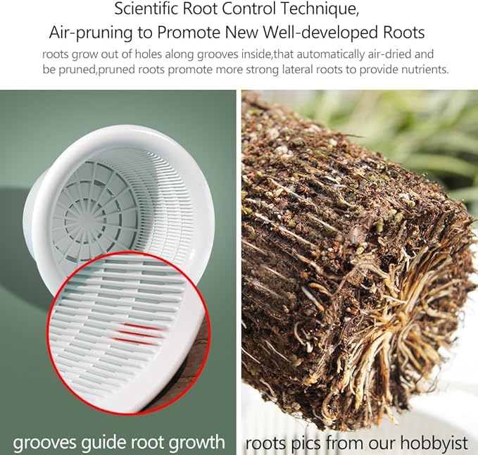 8 Inch Orchid Pots with Holes and Saucers,Double Layer Plastic Large Orchid Planter Pot,Flower Pots for Indoor Outdoor Flower Plants,Orchids,Herbs,Snake Plants and Succulents