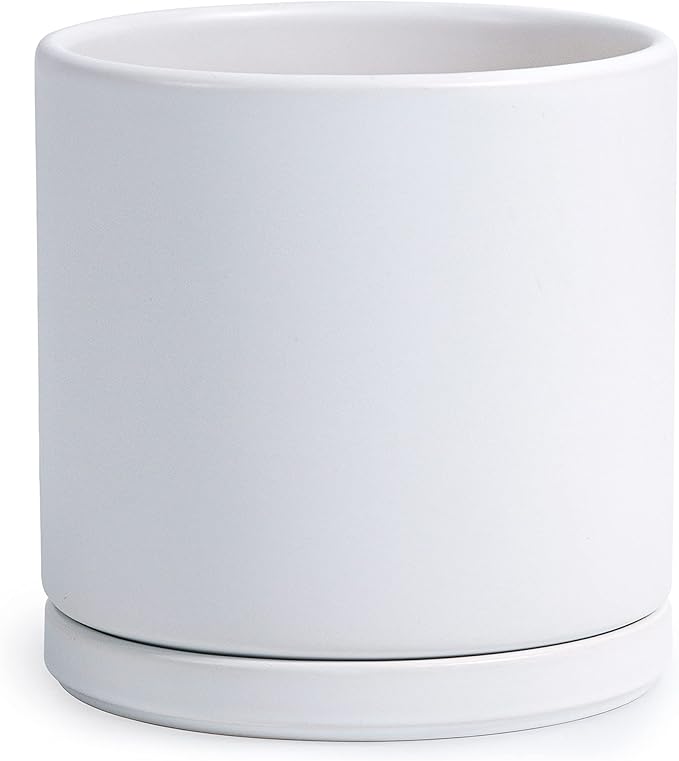 D'vine Dev 8 Inch Ceramic Planter Pot with Drainage Hole and Saucer, Indoor Cylinder Round Planter Pot, White, 94-O-D-1