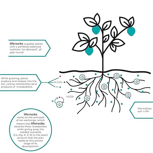 Liferocks Plant food for house and outdoor plants - used potting mix or a standalone soil – works as effective plans fertilizer herb garden