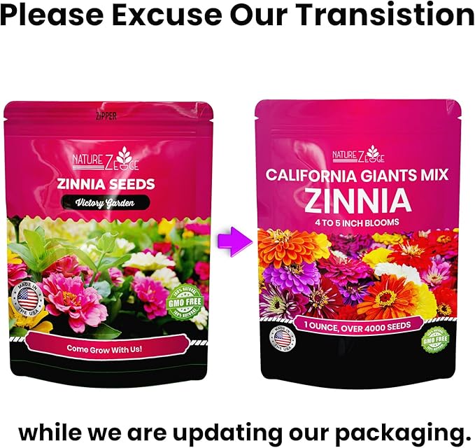 NatureZ Edge Zinnia Seeds for Planting Outdoors – California Giants Flower Seeds, Bulk Semillas de Flores para Sembrar, 1 Oz