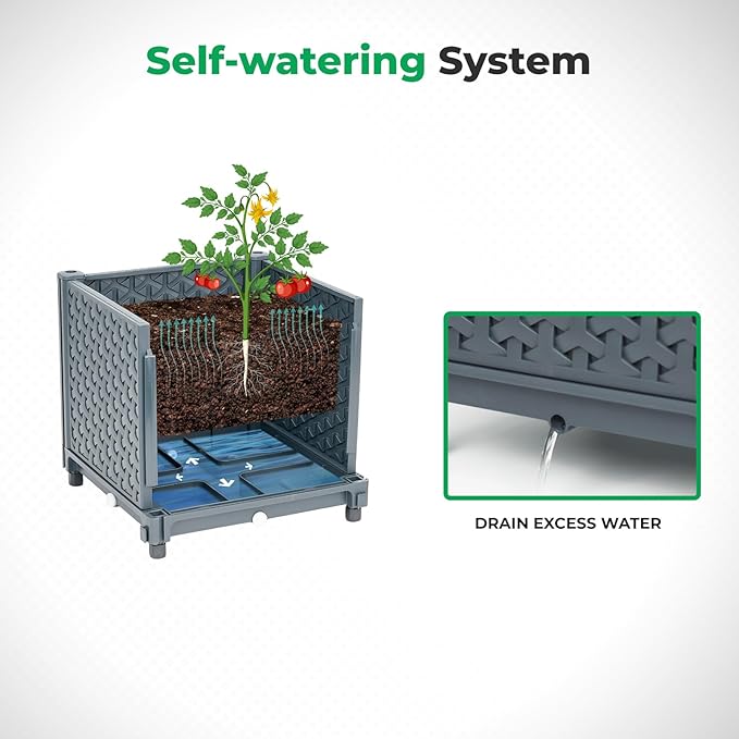 Raised Garden Bed with Tomato Planter Cage, Trellis Planter Boxes for Outdoor Patio Greenhouse Gardening Climbing Vegetables