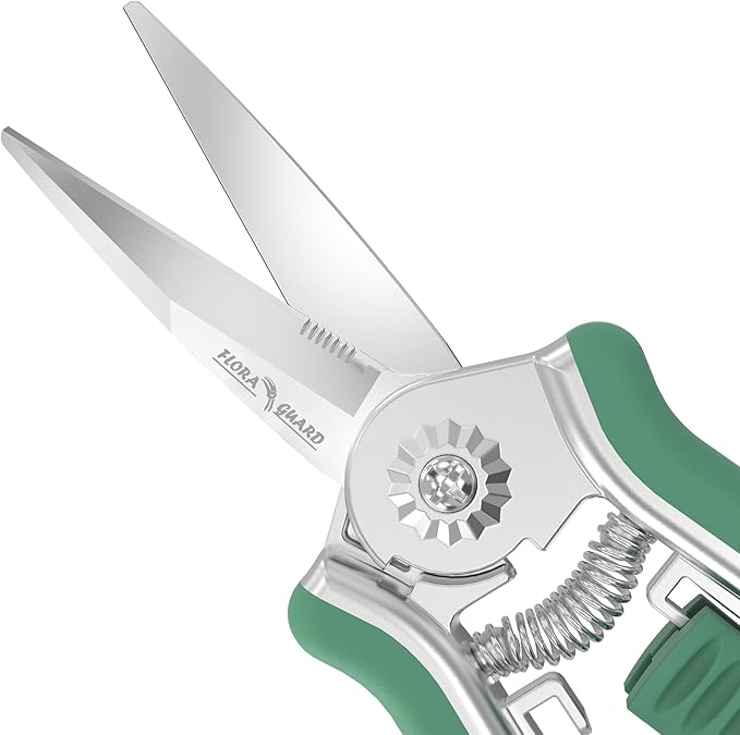 FLORA GUARD 6.5 Inch Micro-Tip Pruning snip Gardening Hand Pruning Shears Trimming Scissors with Stainless Steel(Green)