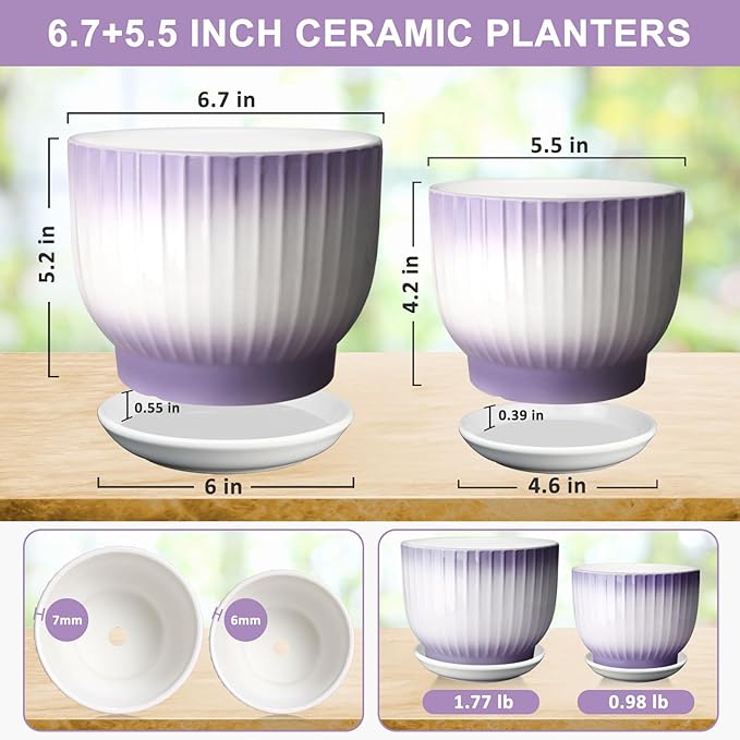 6.7 + 5.5 Inch Plant Pot, Ceramic Planter with Drainage and Saucer, Ceramic Pots for Plants, Indoor Plant pots,Ceramic Flower pots（Purple + White, Plants NOT Included）