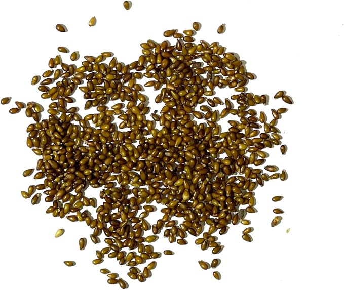 Seed Needs, Rococo Pansy Seeds - 600 Heirloom Seeds for Planting Viola Germania - Colorful Blooms for an Outdoor Flower Garden, Attracts Pollinators (1 Pack)