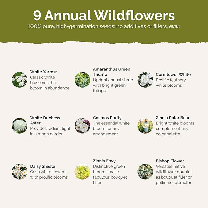 Eden Brothers Green with Envy Flower Mixed Seeds for Planting, 5 lb, 2,400,000+ Seeds with White Yarrow, Cornflower White | Attracts Pollinators, Plant in Spring or Fall, Zones 3, 4, 5, 6, 7, 8, 9, 10