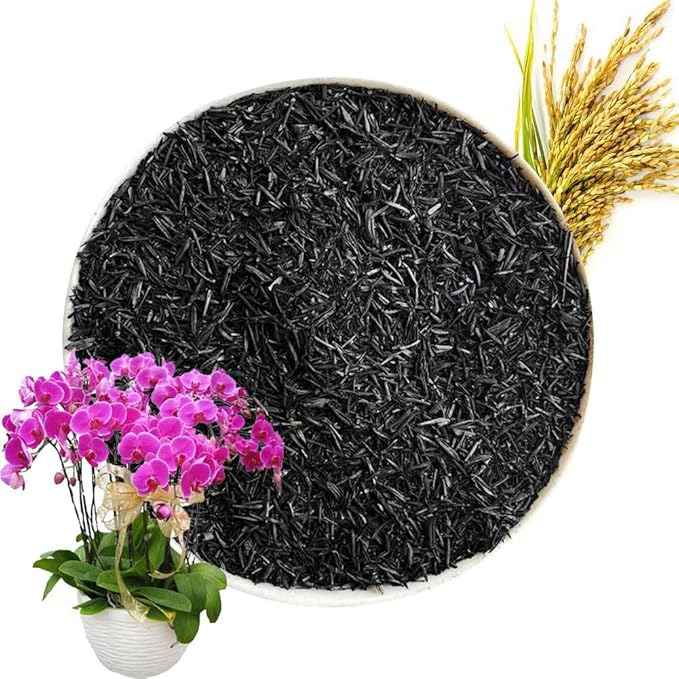 Horticultural Charcoal, Rice Husk Natural Activated Charcoal for Plants Indoor Biochar Soil Amendment Organic for Terrariums - 1.1 lbs