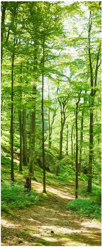 3D Door Wallpaper Self-Adhesive Door Sticker - Forest - Door Poster Premium PVC Waterproof Wall Sticker for Bedroom Living Room Door Decoration Wallpaper 95 x 215 cm