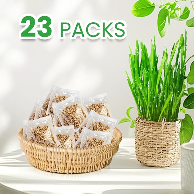 1 Pound Non-GMO Organic Wheat Cat Grass Seeds - Individual Packets for Easy Planting and Storage - Heirloom Oat Barley Blend for Indoor Cats