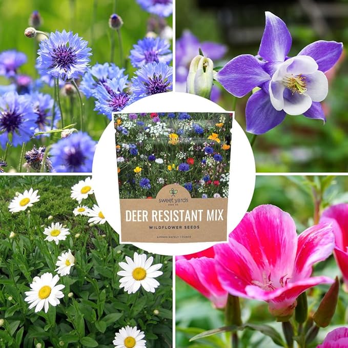 Deer Resistant Wildflower Seed Mixture - Bulk 1 Ounce Packet - Over 15,000 Deer Tolerant Seeds - Open Pollinated and Non GMO