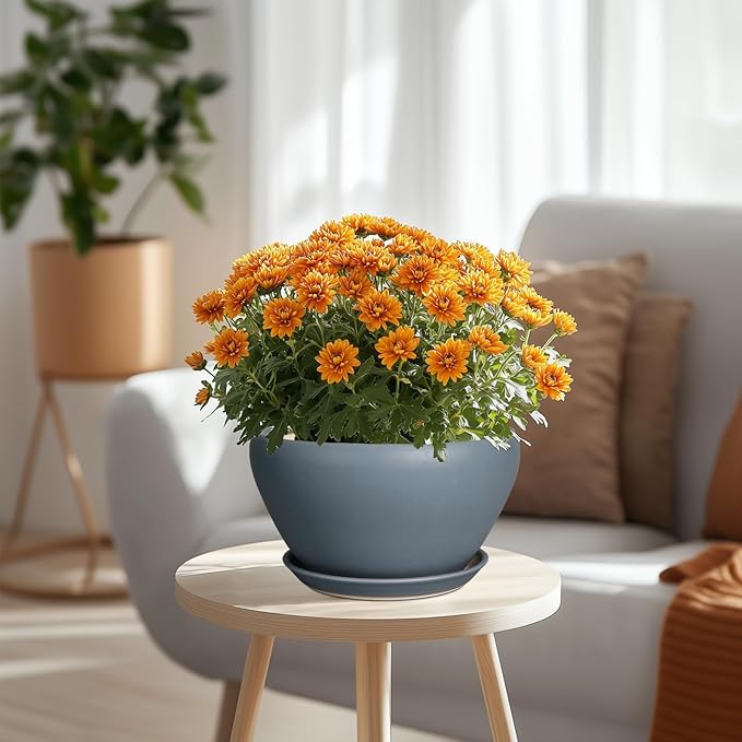 Ceramic Pots for Plants - 9 Inch Planter for Outdoor Plants Large Plant Pot Indoor with Drainage Hole and Saucer Decorative Modern Flower Pot for Home Garden Decor Gray