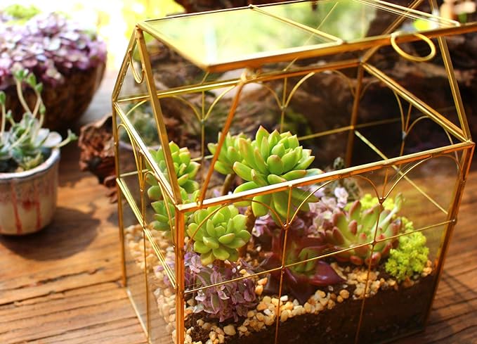 Glass Geometric Plant Terrarium,Succulent & Air Planter for Home Garden Office Decoration (Gold House)
