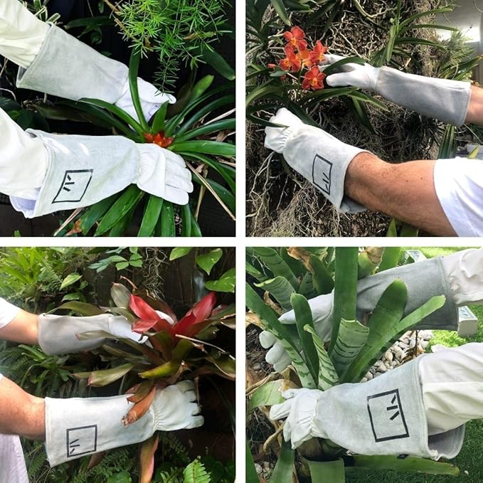Rose Pruning Gloves Gauntlet Garden Gloves Leather Long Gardening Gloves for Women Rose Gloves Cut Proof Work Gloves White Garden Gloves for Rose Gardening Gloves Rose Bushes Ready to Plant Cowhide S