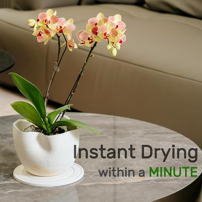 Diatomaceous Earth Plant Saucer for Indoor, 2 Pack 10 inch, Instant Dry Pot Saucer, Plant Drip & Drainage Tray for Indoor, Off White