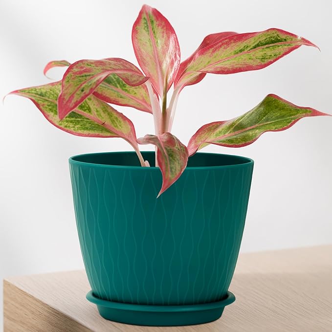 Plant Pots – 6 Inch Planters with Drainage Holes and Saucers, Flower Pots for Indoor and Outdoor Plants, Nursery Planting Pots (Pack of 5, Blue)